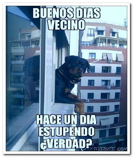 Frases Memes Buenos Dias