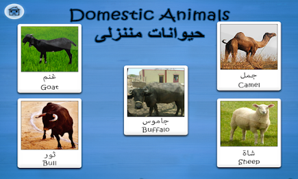 Arabic Flashcards By Tinytapps poster 4