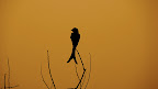 Time to reflect on the day gone by, Tarun Chandel Photoblog