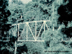 ... and there was that bridge connecting us back to the nature... Tarun Chandel Photoblog