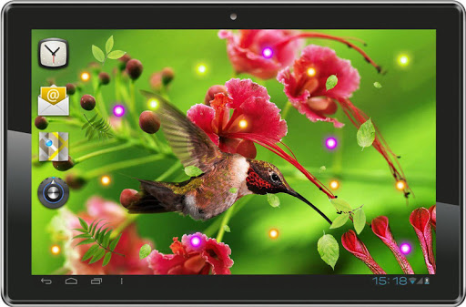 【免費個人化App】Hello Colibri live wallpaper-APP點子