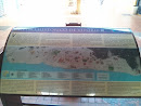 Informações Centro Histórico De Vitória