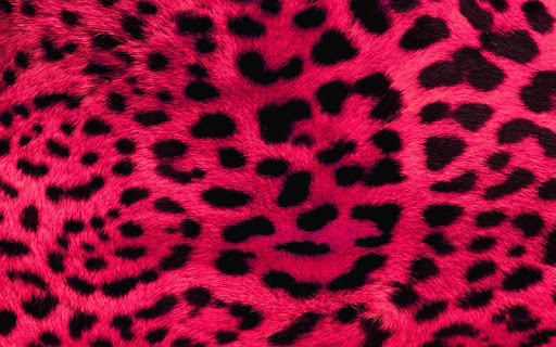 【免費娛樂App】Animal Print Wallpapers HD-APP點子