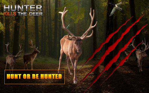 Hunter kills the deer