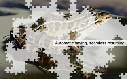 Frog Jigsaw Puzzles Demo poster 12