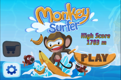 Monkey Surfer