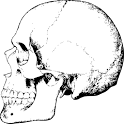 Torb’s Anatomy logo