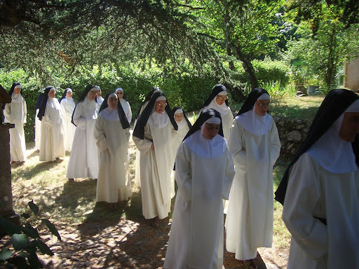 THE DOMINICAN TEACHING SISTERS OF THE HOLY NAME OF JESUS AND OF THE IMMACULATE HEART OF MARY