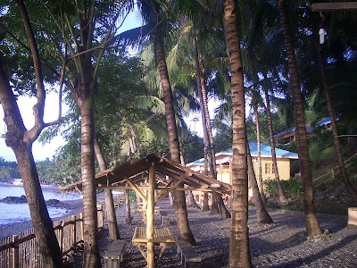 フィリピンのバサンバサ・ビーチ (Basangbasa Beach, Iloilo, Phillippines) という海岸に行った時に見つけた椰子の木のお花をご紹介します