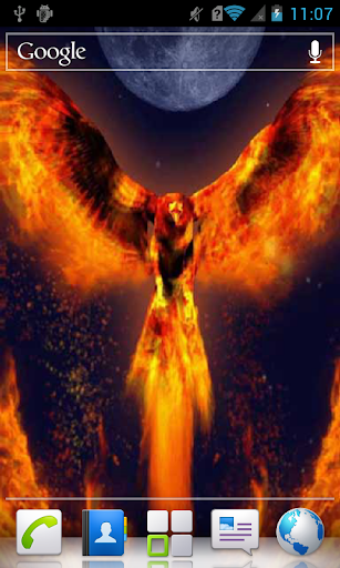 Bird of Fire a live