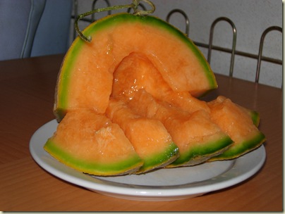 DSCN1131