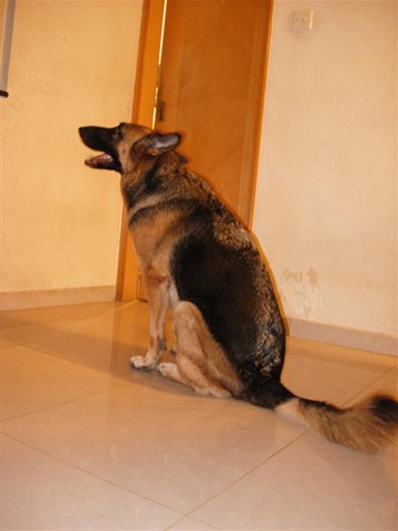 [DSCN1212Small3.jpg]