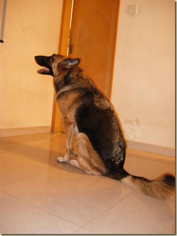 DSCN1212 (Small)