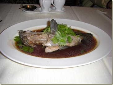 CIMG0503 (Small)