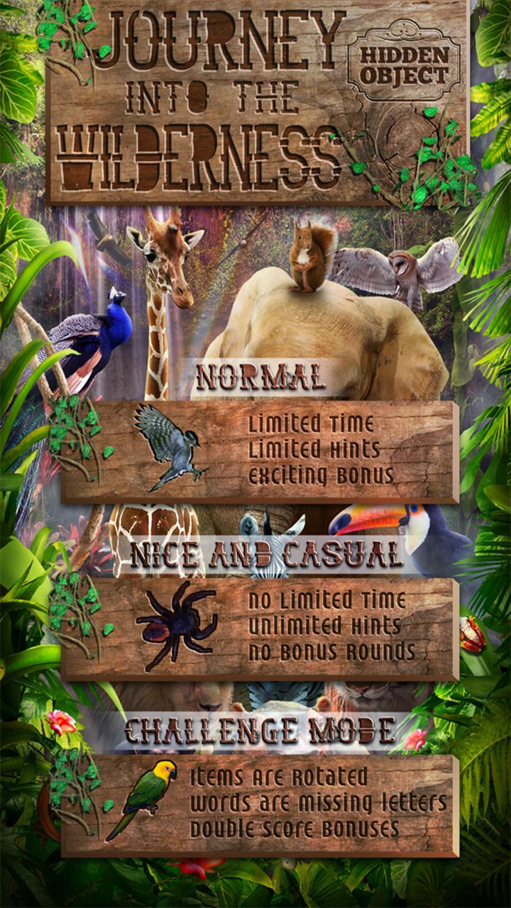 Hidden Object- Into Wilderness Screen 3
