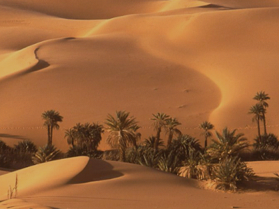 25 ++ オアシス 砂漠 壁紙 880343