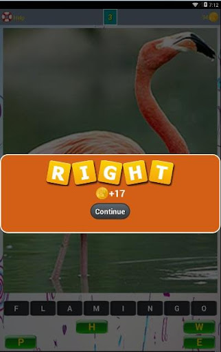 【免費拼字App】Bird Lovers Quiz-APP點子