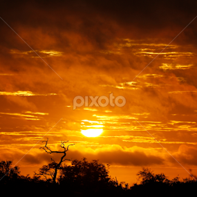 Dawn of New Years Day by Gerhard Strydom - Landscapes Sunsets & Sunrises
