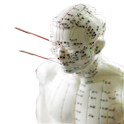 한의학 경혈 검색 Lite 2.0 logo