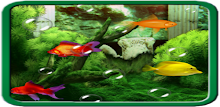 Aquarium Live Wallpaper by Carve Apps APK