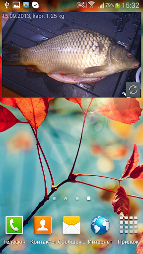 MP Fishing Photo Widget