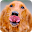 Dog Screen Download on Windows
