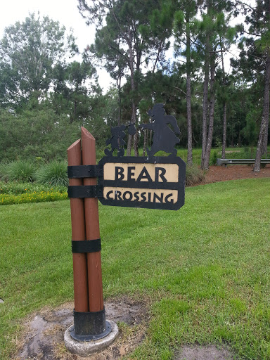 Bear Crossing