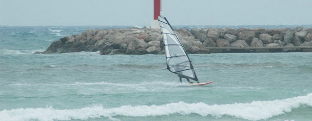 DSC_0661_resize.jpg
