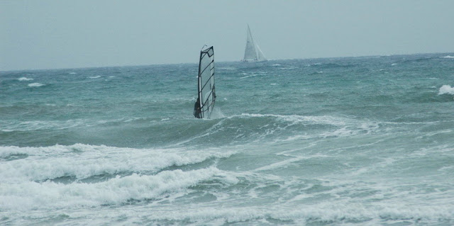 DSC_0696_resize.jpg