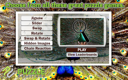 Peacock Puzzle Games