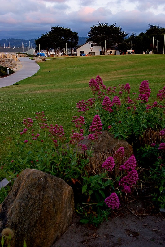 [monterey[4].jpg]