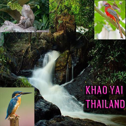 Khao Yai Thailand