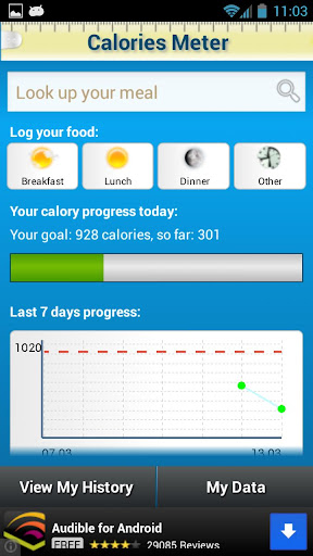 Calorie Meter