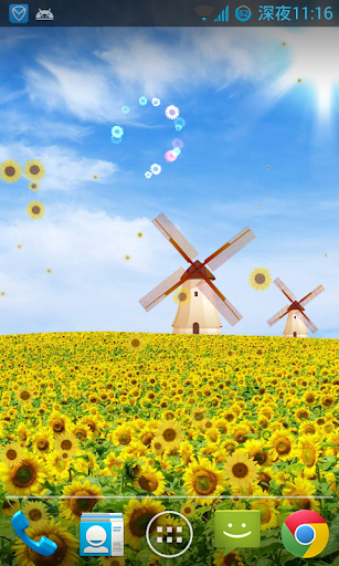 Sunflower Live Wallpaper FREE