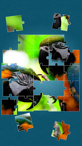 Parrots Jigsaw Puzzles