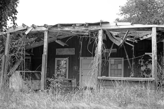 [Overgrown House[4].jpg]