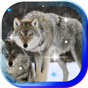 Wolf Best live wallpaper 1.0