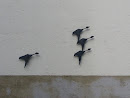 Vögel an Hauswand