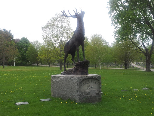 Elks Rest 184