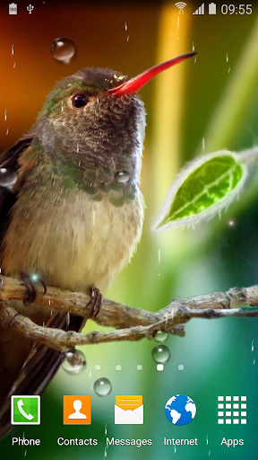 Hummingbirds Live Wallpaper