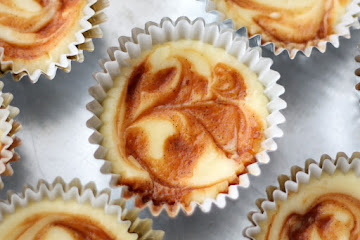 Caramel Swirl Cheesecake Cupcakes