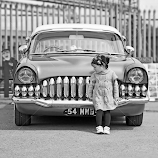 Friends by Nerijus Liulys -  