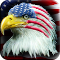 American Eagle 2 Sticker !!! logo