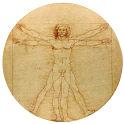 Sapiens -Archaeology & History logo