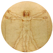 Sapiens -Archaeology & History