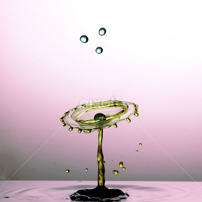 the flower by Parjiyo Suwardi - Abstract Water Drops & Splashes