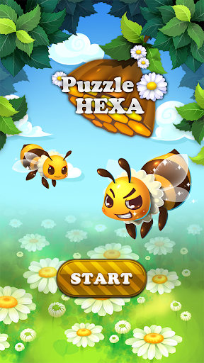 Puzzle Hexa