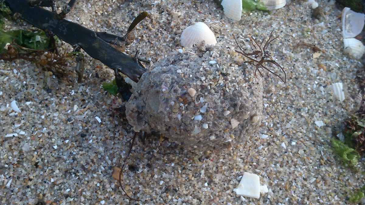 strange sand ball