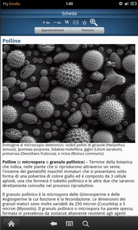 Encyclopedia of Biology Screen 3
