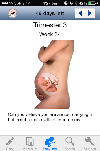 Pregnancy Diary - One in Womb